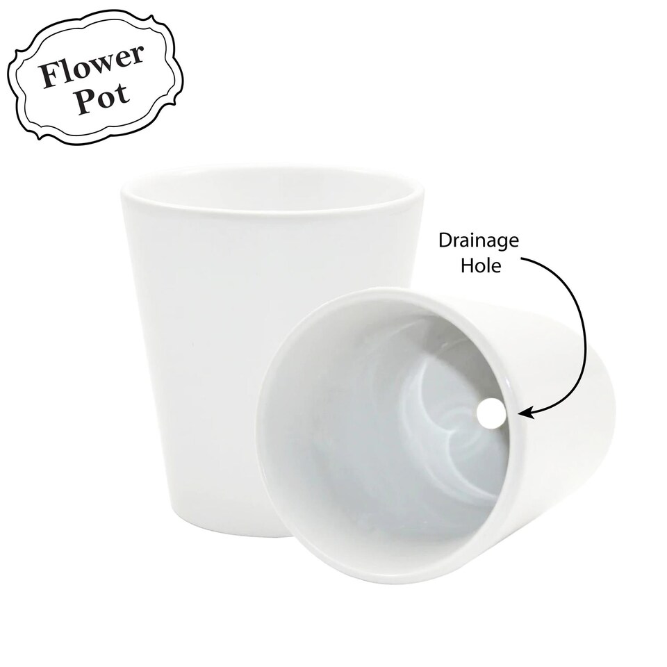 image 1 of Minimalist Design Small Ceramic Thyme Plant Pot