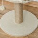 image 8 of PawHut Cat Scratching Post Activity Centre for Kitten Under 4kg Beige