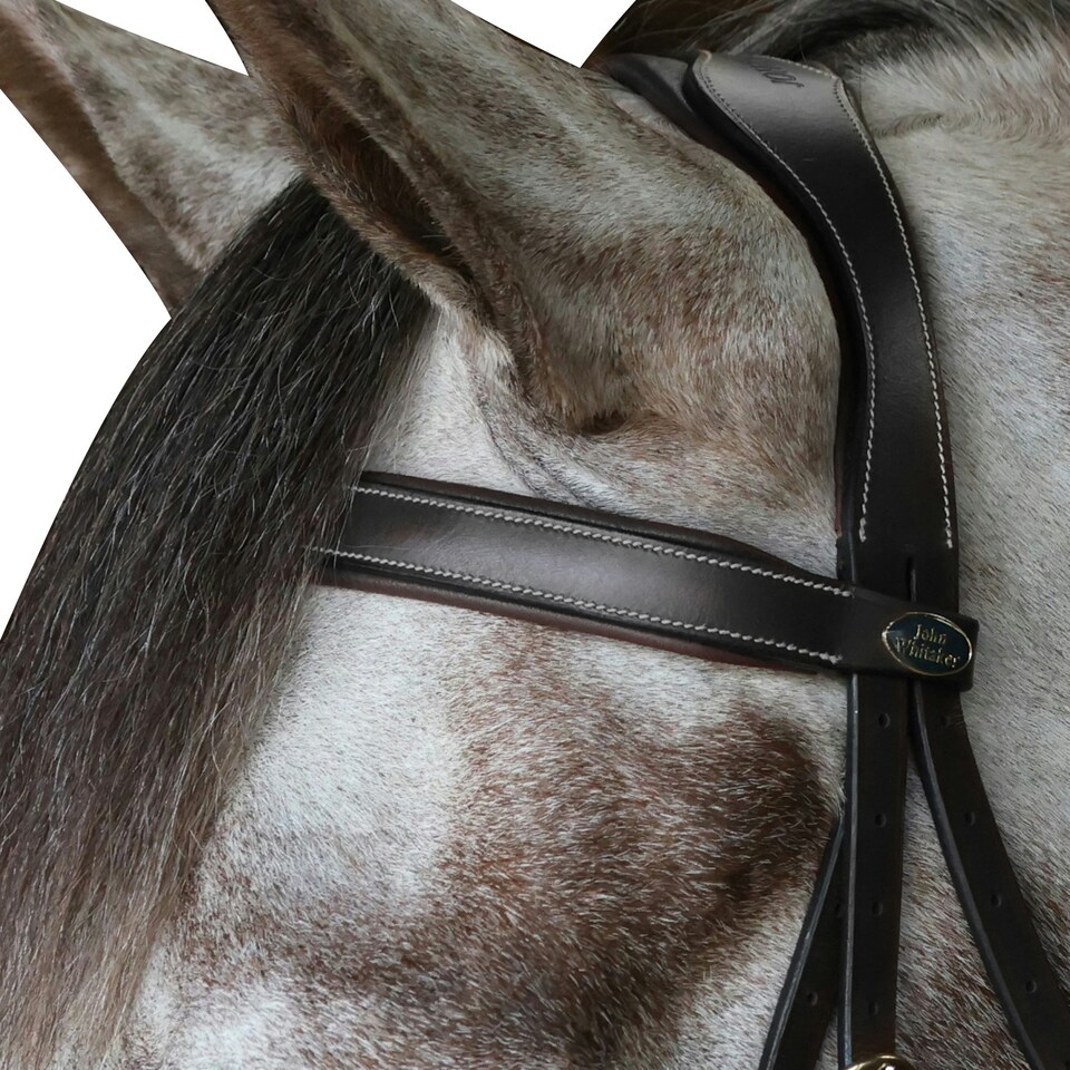 image 1 of John Whitaker Pick N Mix Leather Flat Horse Browband - Black - Cob