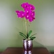 image 1 of Orchid Artificial Dark Pink Silver 50cm Phalaenopsis Botanik