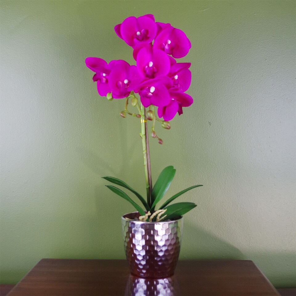 image 1 of Orchid Artificial Dark Pink Silver 50cm Phalaenopsis Botanik