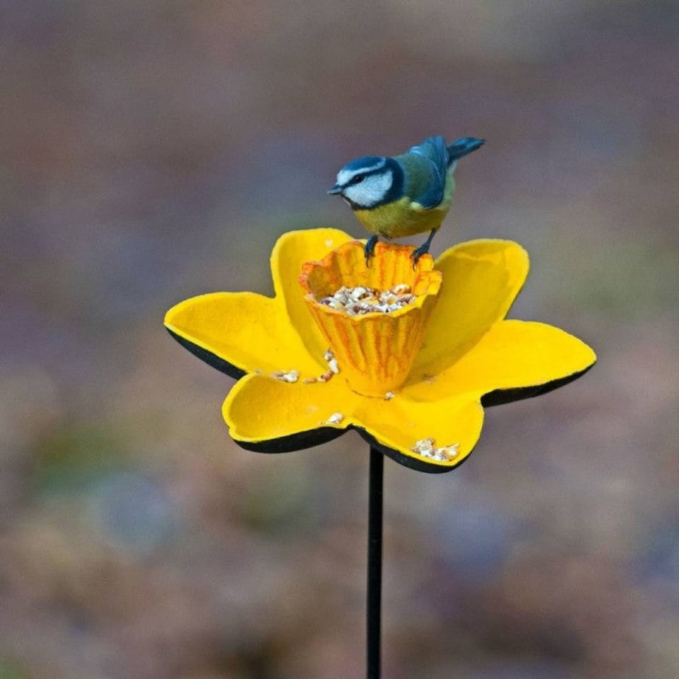 image 1 of Cast Iron Daffodil Bird Feeder Flower Dish (Set of 3)