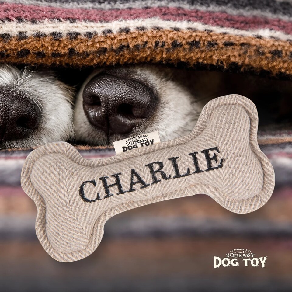 image 1 of History & Heraldry Pre-Personalised Squeaky Bone Dog Toy - Charlie