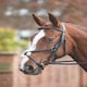 image 1 of Shires Aviemore Mexican Bridle Black | Size: Cob
Colour: Black