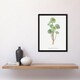 image 4 of Tree Houseleek Succulent Redoute Vintage Framed Wall Art Print 12X16"