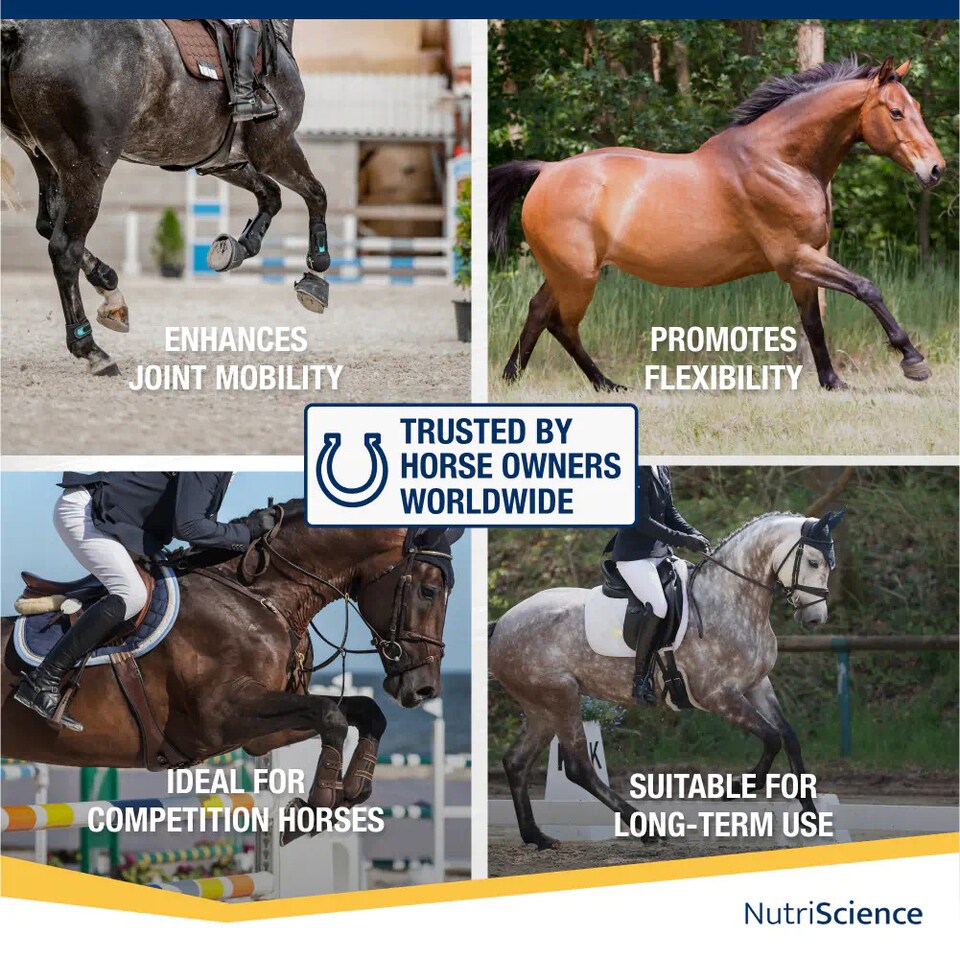 image 1 of NutriScience Arthri Aid Equine Liquid