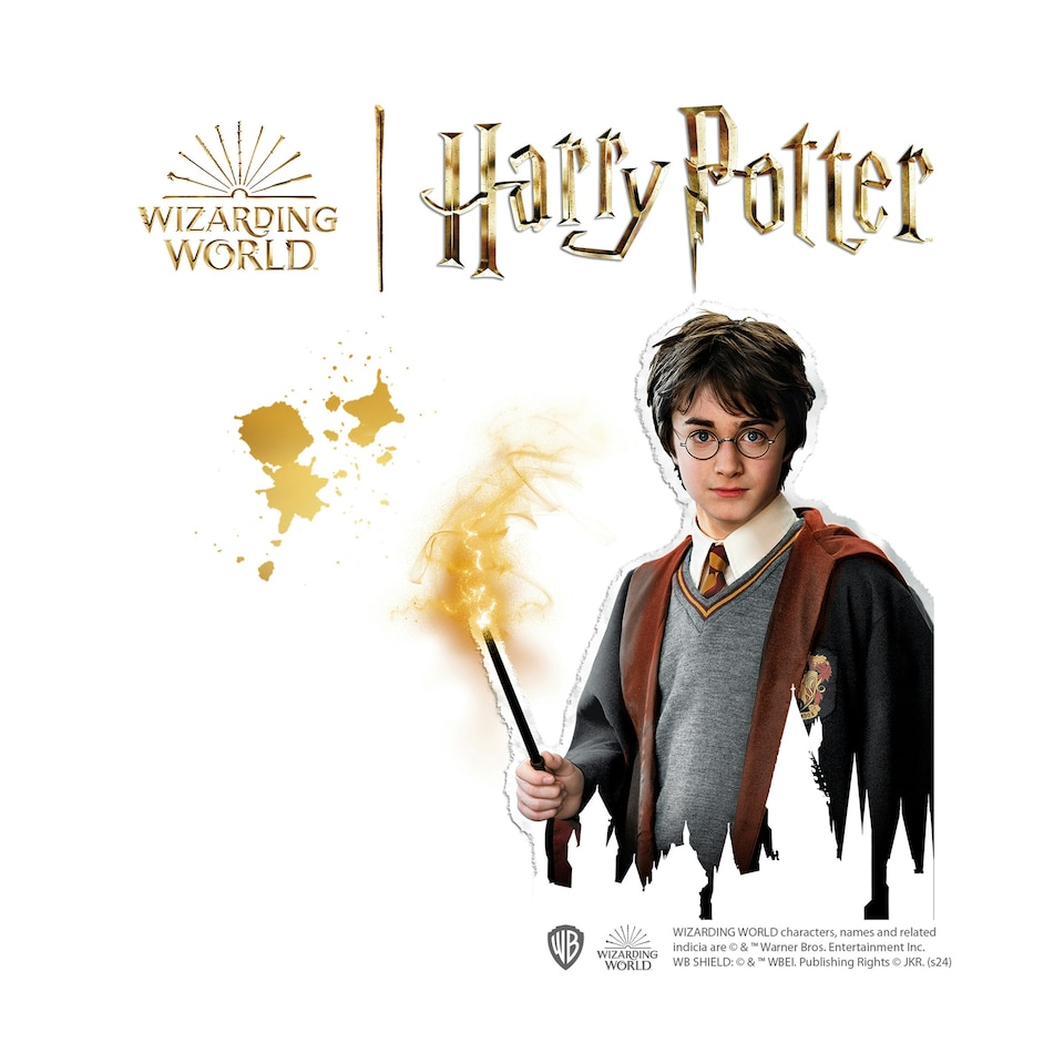 image 1 of SES Creative Harry Potter - Casting and painting