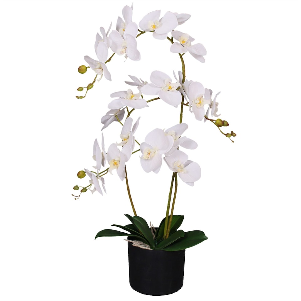 image 1 of 65cm Artificial Luxury Artificial Orchid - 3 Stems - Soft White Plant