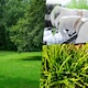 image 4 of Pegdev Transform Your Lawn PDL Fast Growing Grass Seed (500g)