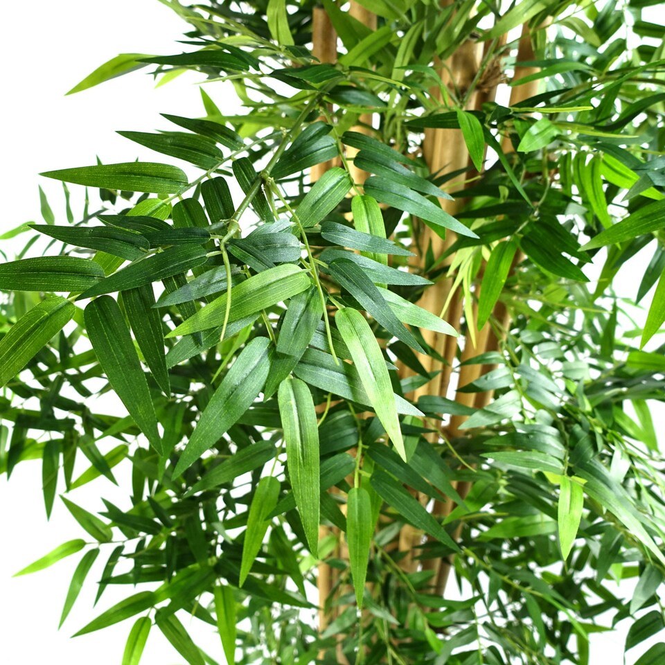 image 1 of Artificial Oriental Bamboo Plant 150cm - Realistic plant by Botanik Green | One Size