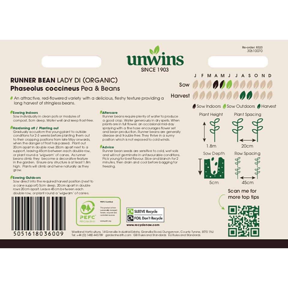 image 1 of Runner Bean Lady Di (Organic) | Multi | Green, Red