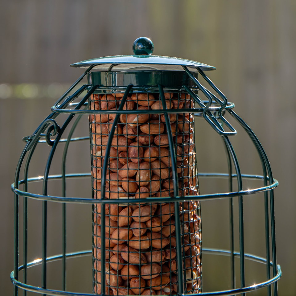 image 1 of Pack of 2 Samuel Alexander Metal Hanging Bird Nut Feeder with Squirrel Guard & Pack of Nut Feed