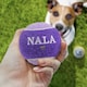 image 2 of Pre-Personalised Dog Ball Gift Pack 2pcs Purple Nala