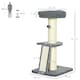 image 4 of PawHut Cat Tree with Tower Sisal Scratching Post Multi Level Dark Grey
