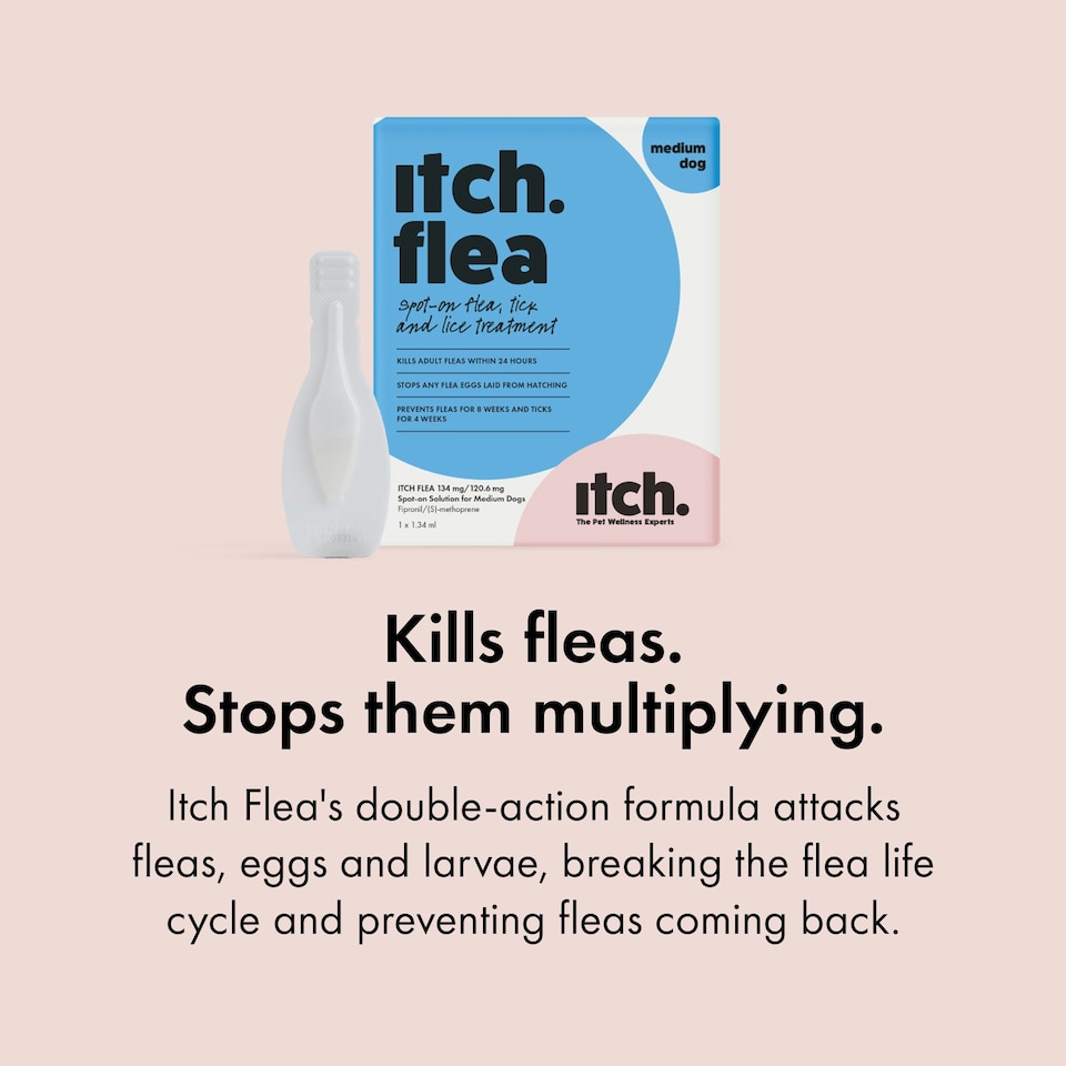 image 1 of Itch Flea Medium Dog Flea & Tick Spot On Treatment 6 Pipette (10-20kg)