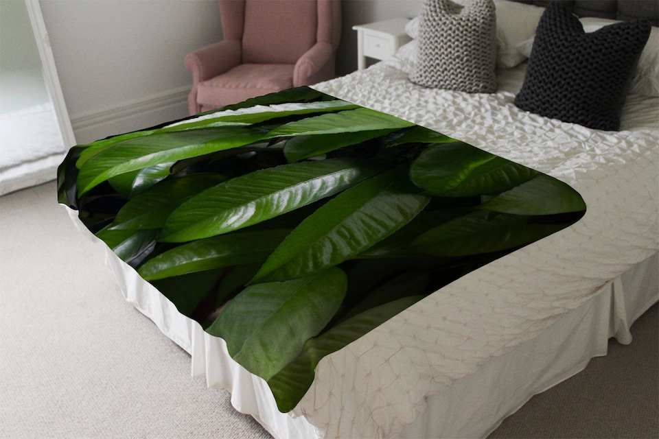 image 1 of Closeup of beautiful glossy green leaves Designer Blanket | Multi