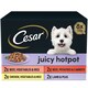 image 1 of Cesar Juicy Hotpot Mixed Selection 8x150g (Pack of 3)