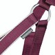 image 4 of Hy Synergy Horse Headcollar and Leadrope - Fig/Silver - Pony