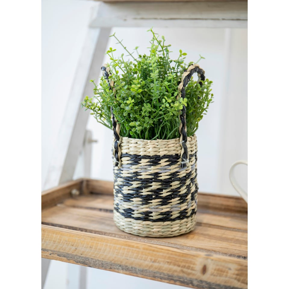 image 1 of KitchenCraft Plant Basket Mixed Seagrass Striped Multi