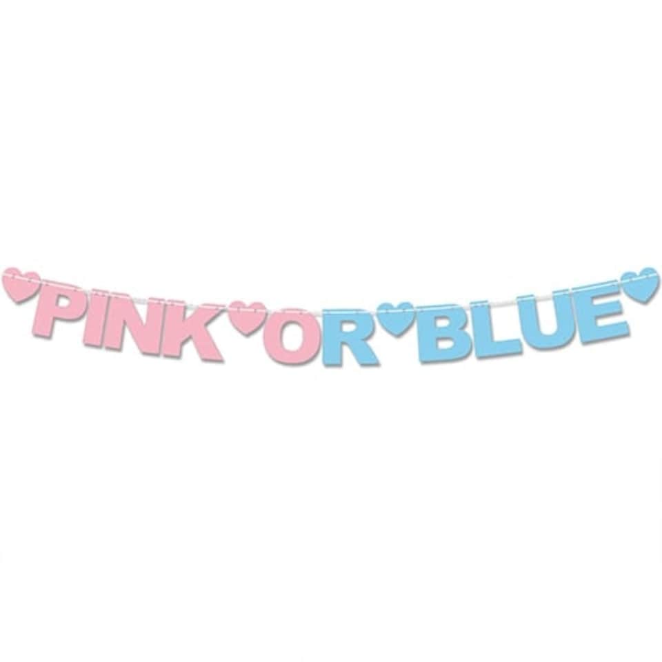 Pink or Blue Gender Reveal Recyclable Card Party Bunting