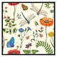 image 2 of Flowers & insects (Picture Frame) Brown | Oak | XS