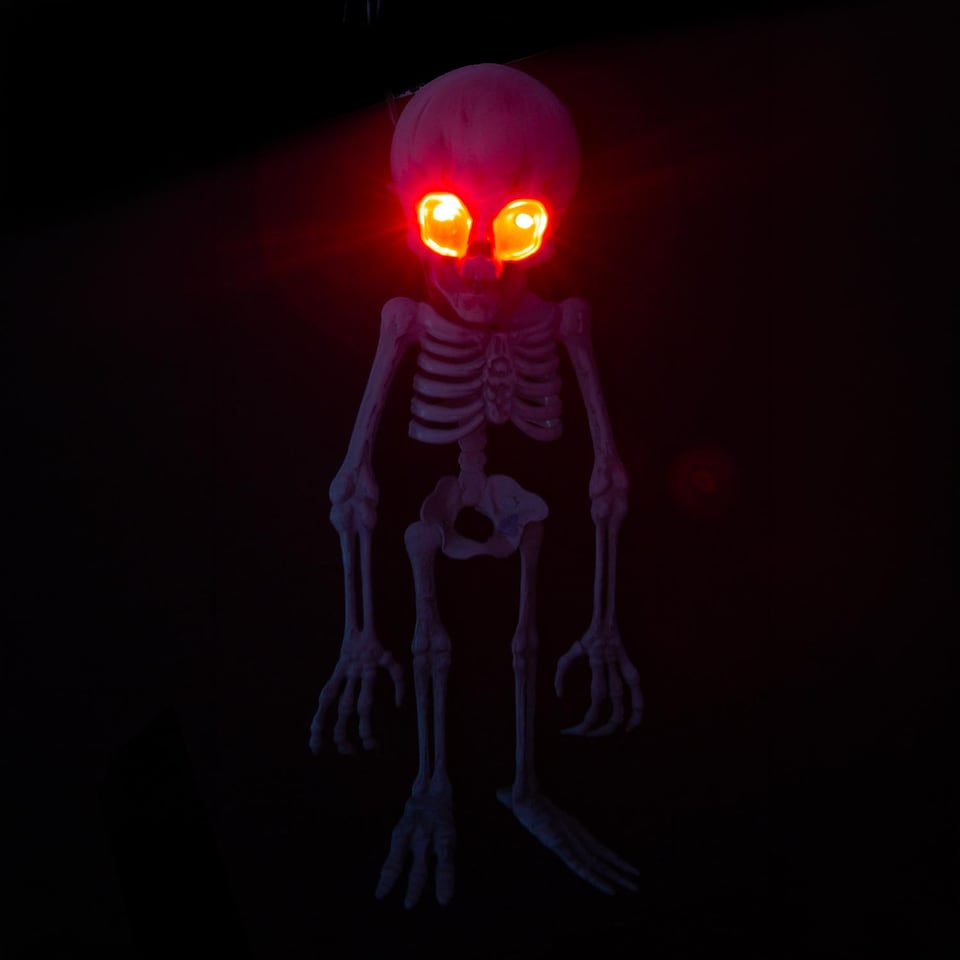 image 1 of PMS Halloween Alien Hanging Skeleton Decoration, White