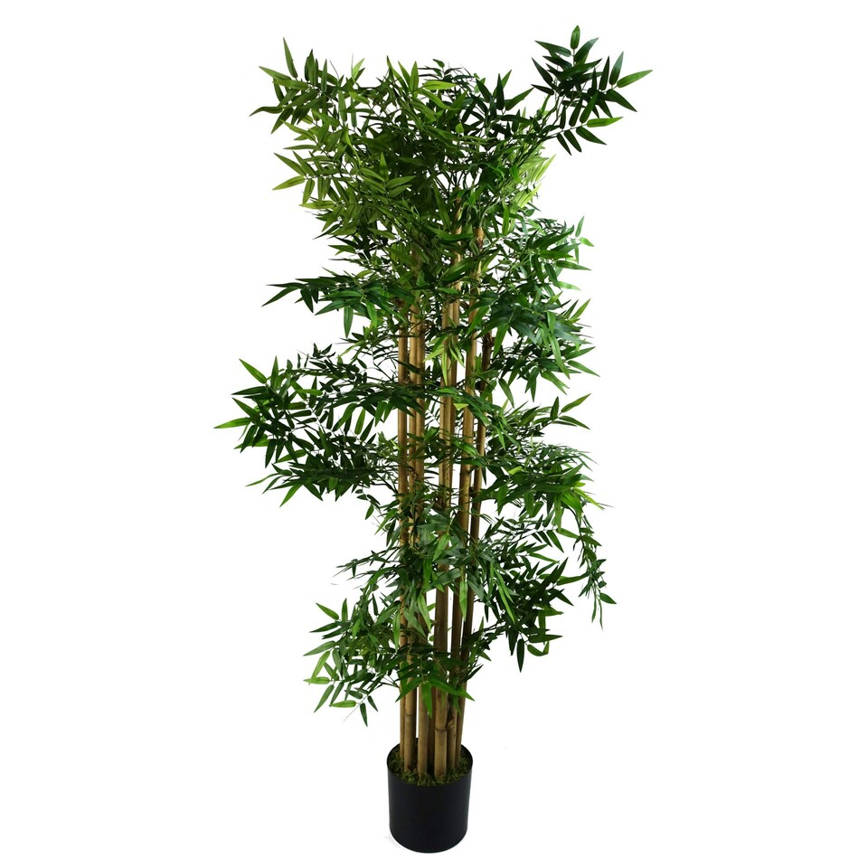 image 1 of Artificial Oriental Bamboo Plant 150cm - Realistic plant by Botanik Green | One Size