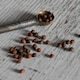 image 2 of Marshalls Garden Broccoli Seeds 'Claret' F1 90 Seeds | Green | Green, Purple