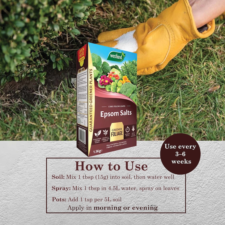 image 1 of Westland Epsom Salts 1.5kg Magnesium & Sulphur Fertilizer for Lush Green Foliage Flowers Vegetables and Healthy Plants