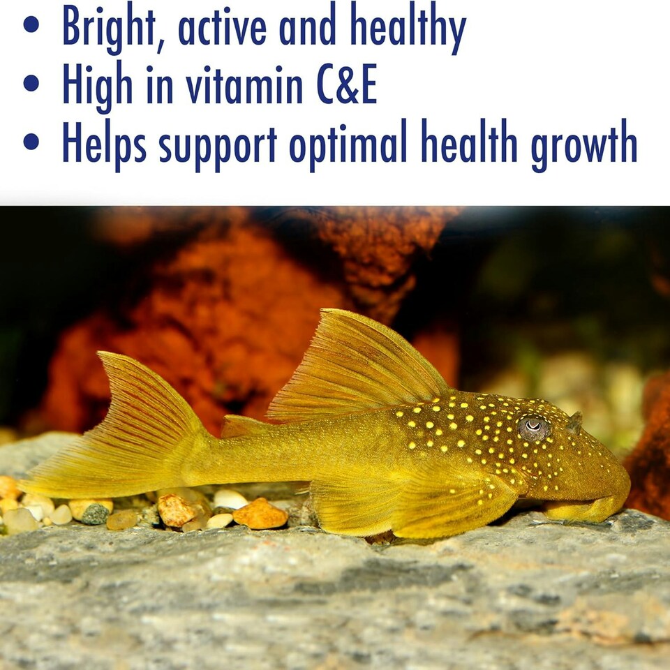 image 1 of AQUARIAN Complete Nutrition, Aquarium Algae Eater Fish Food, Sinking Algae Wafers, 255g Bag
