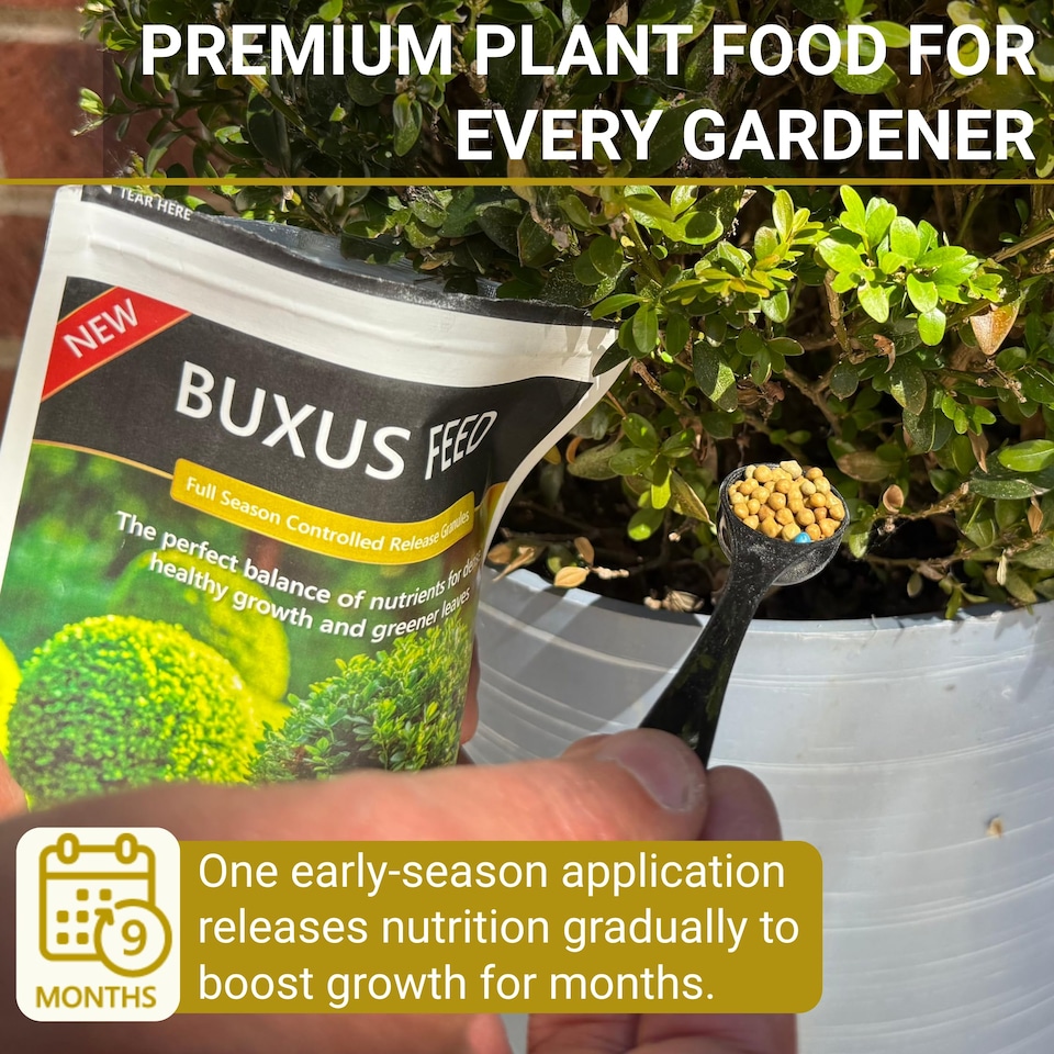 image 1 of Buxus Feed Controlled-Release Fertiliser Plant Food Box Hedges & Topiary Easy-Apply Granules for Dense Healthy Growth 120g Pouch