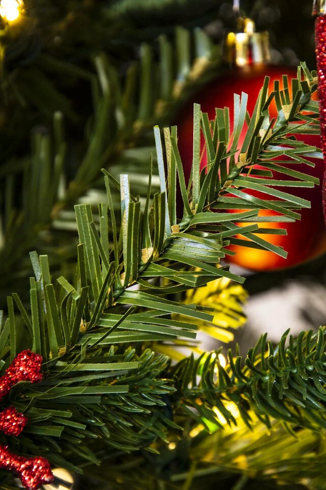 image 1 of Christmas Tree World 14ft Woodland Pine Tree