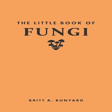 The Little Book Of Fungi
