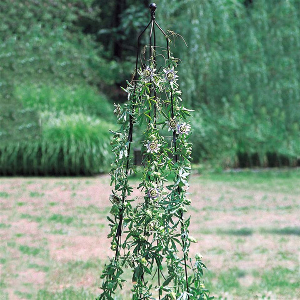 Classic Climbing Column Medium Bare Metal - Ready to Rust - Solid Steel - H172.7 cm - Adjustable Diameter