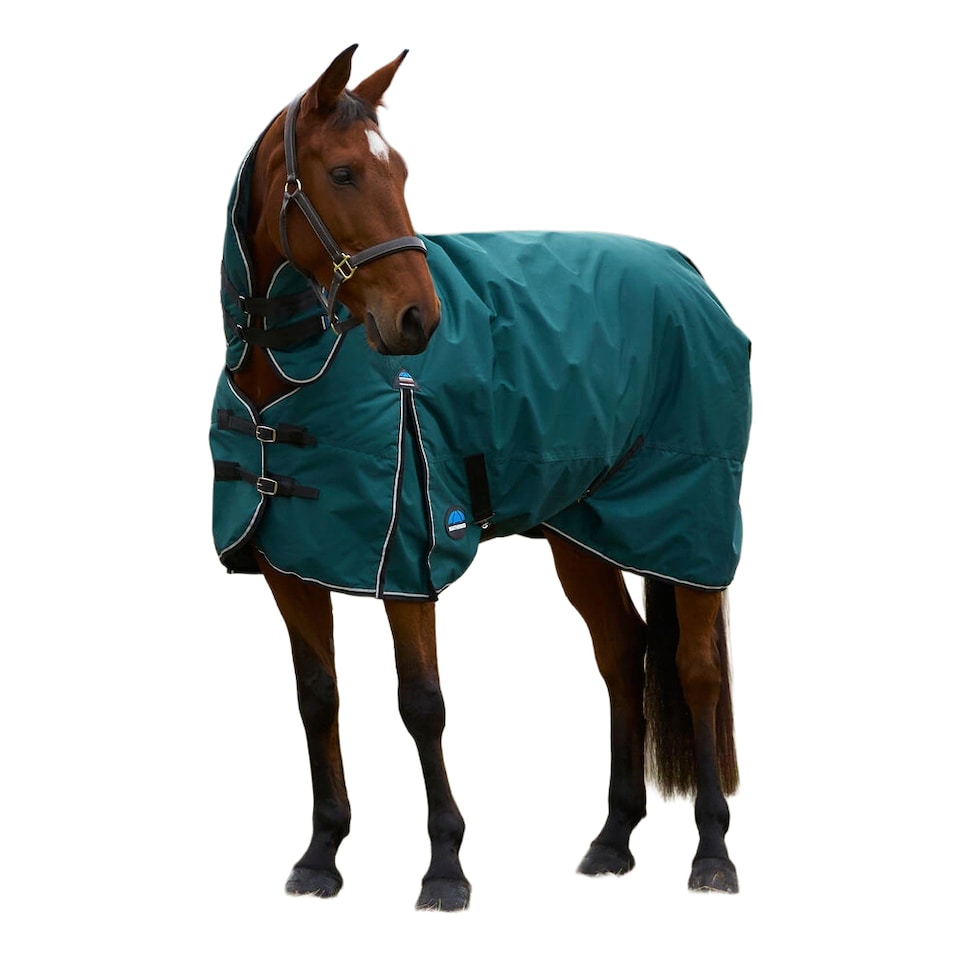 image 1 of Weatherbeeta Comfitec Classic Combo Neck 360g Horse Turnout Rug | Green | Forest Green/Black | 5Ft | 1