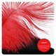 image 4 of Highway Rodent Costume - Feather Tricorn Hat, Cape, Nose & Mask Black | One Size