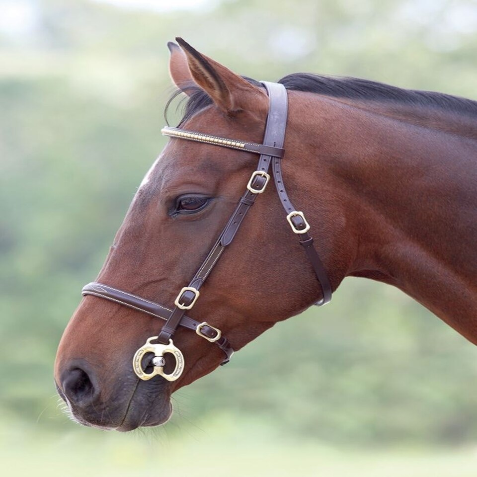 image 1 of Shires Blenheim Clincher Inhand Bridle Brown | Size: Cob
Colour: H.Brown