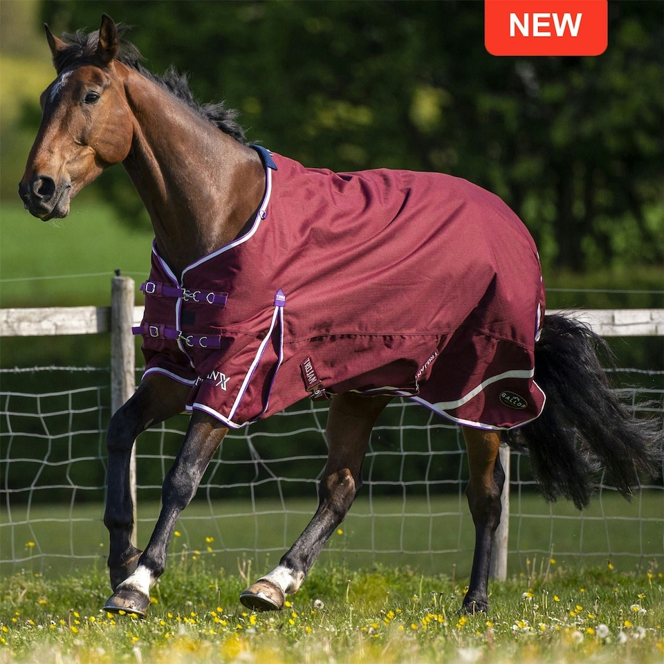 image 1 of Gallop Equestrian Trojan Xtra Lightweight Turnout Red | Size: 6ft 6
Colour: Burgundy