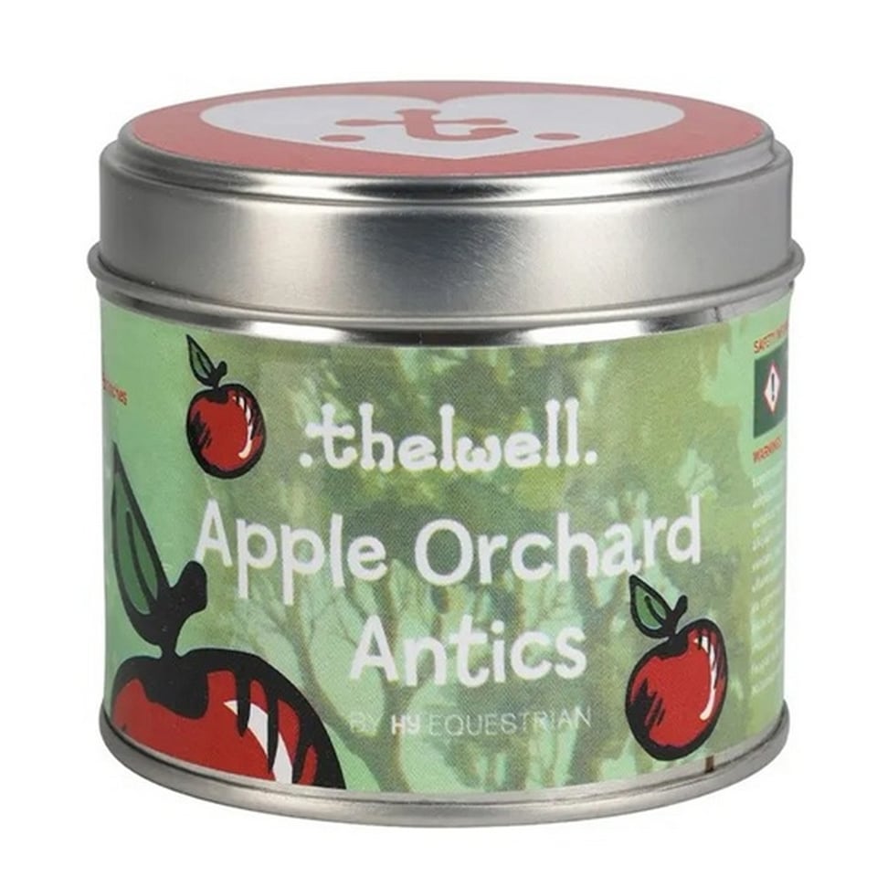 Thelwell Apple Spice Scented Candle | Yellow | Spice | One Size | 1