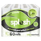 Splesh 60 rolls