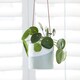 image 4 of Burgon & Ball Dip Hanging Pot