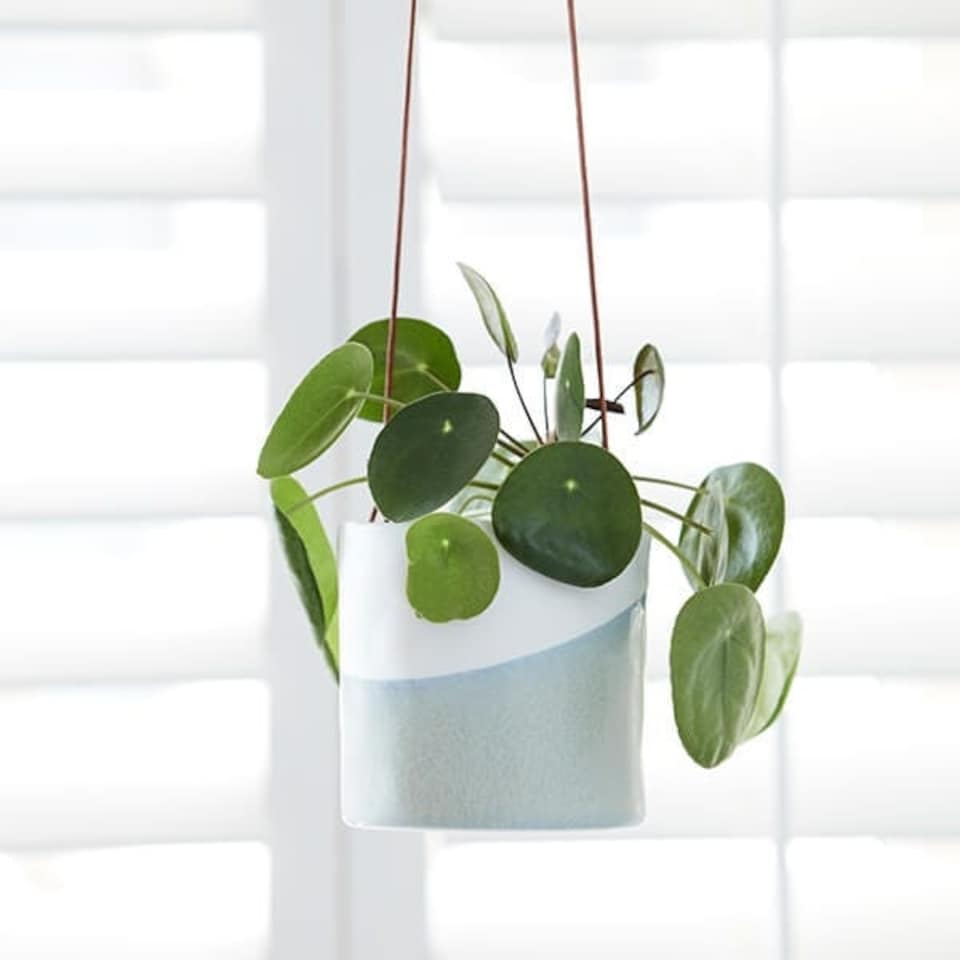 image 1 of Burgon & Ball Dip Hanging Pot