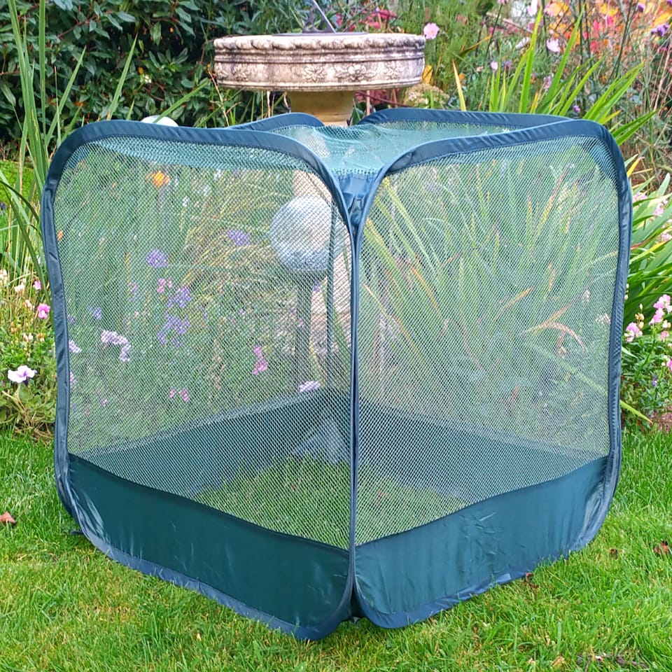 image 1 of GardenSkill Pop-Up Mini Net Plant Cover for Seedling & Flower - Garden Netting Grow House Cloche - Stops Birds, Insects - 2 Pack