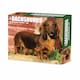 image 2 of Just Dachshunds Desk Calendar 2026, Desk Calendars, Day To View, Dogs, Gift