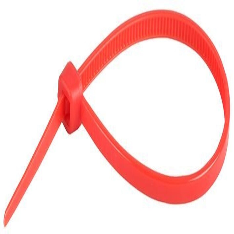 CONCORDIA TECHNOLOGIES - Nylon Cable Ties 100mm x 2.5mm Red 100 Pack