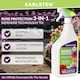 image 3 of Karlsten 3-in-1 Rose Protection Spray | Kills Aphids, Whiteflies & Spider Mites | Prevents Powdery Mildew, Black Spot & Fungal Diseases | Rose Feed & Plant Tonic for Stronger, Healthier Growth