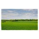 image 1 of Summer landscape with hilly green field and forest in the distance (Kitchen Towel)