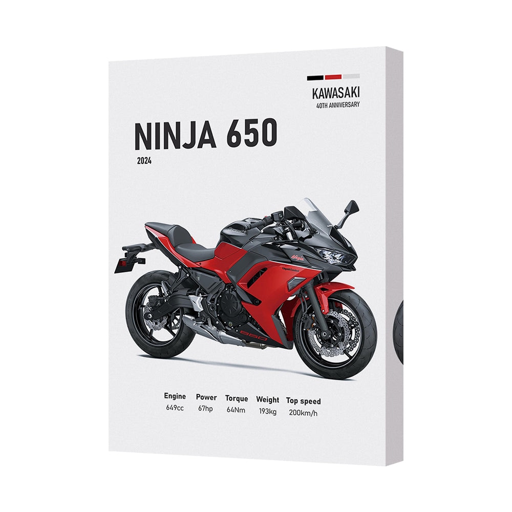 Kawasaki Ninja 650 Motorcycle Canvas Print 2024 Wall Art