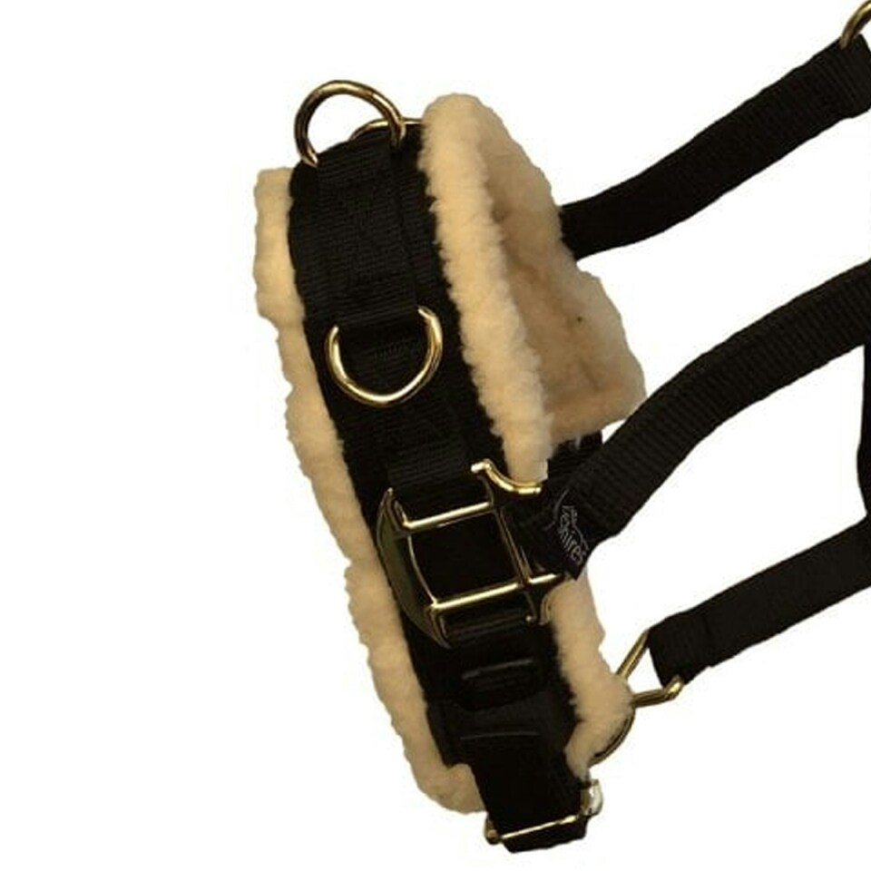image 1 of Shires Fleece Lined Horse Lunge Cavesson - Black - X Full