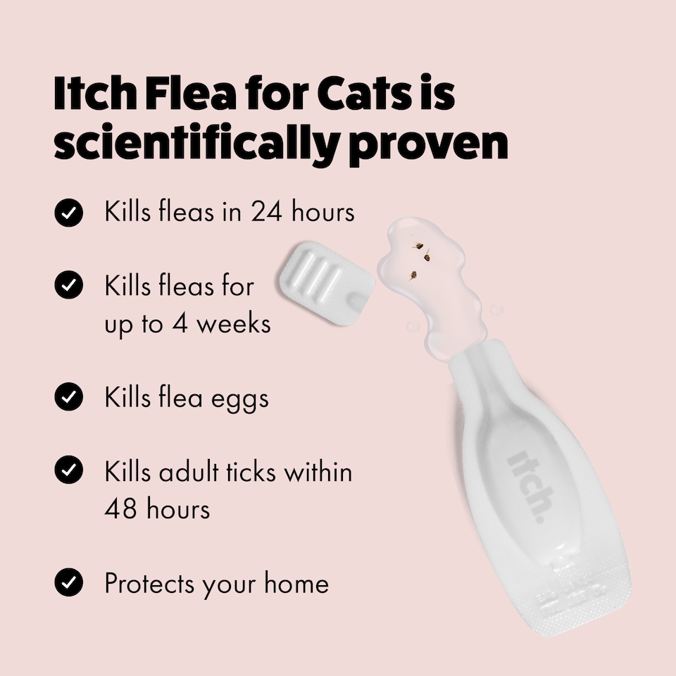 image 1 of Itch Flea Cat Flea & Tick Spot On Treatment 4 Pipette (1kg+)